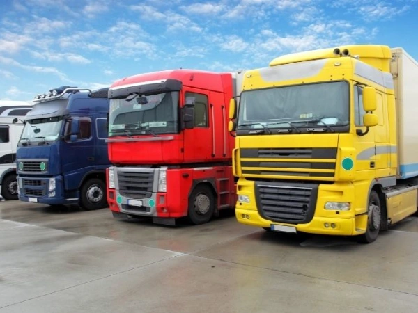 Antalya Küre Nakliye